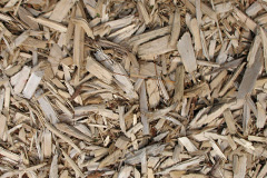 biomass boilers Dalhalvaig
